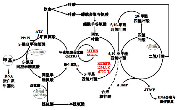 PariMatch拼搏(中国)体育官方网站