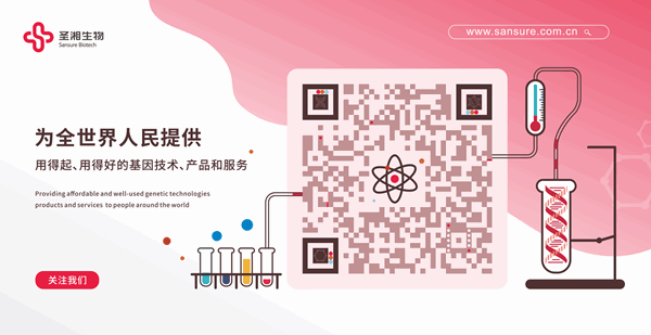 PariMatch拼搏(中国)体育官方网站