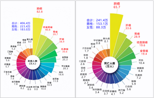 PariMatch拼搏(中国)体育官方网站