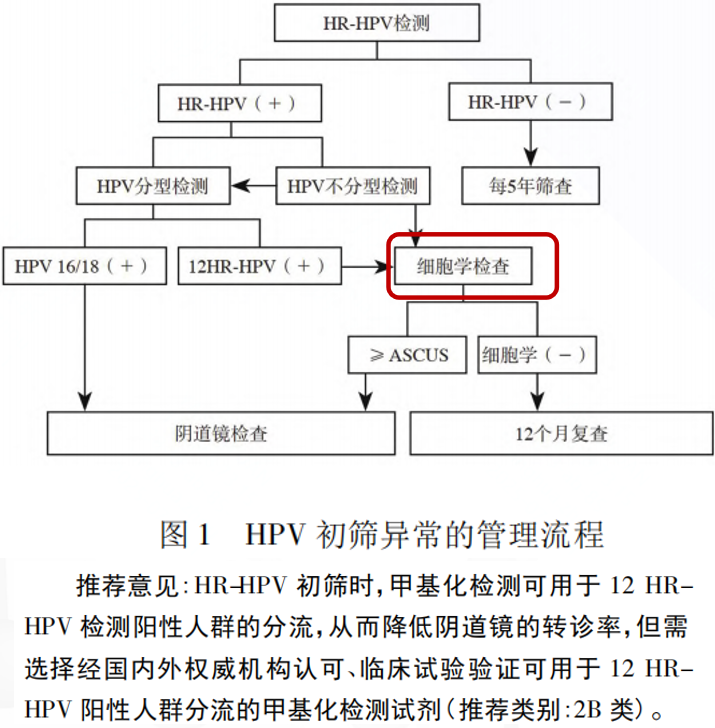 PariMatch拼搏(中国)体育官方网站